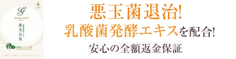 �P�ʌ��C���T�C�g